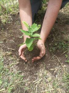 Día mundial del Medio Ambiente