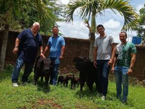 Alianza estratégica entre Controlpack Caribe S.A. y la Empresa Genética Porcina 